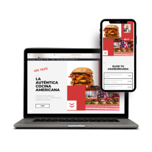 Desarrollo WEB